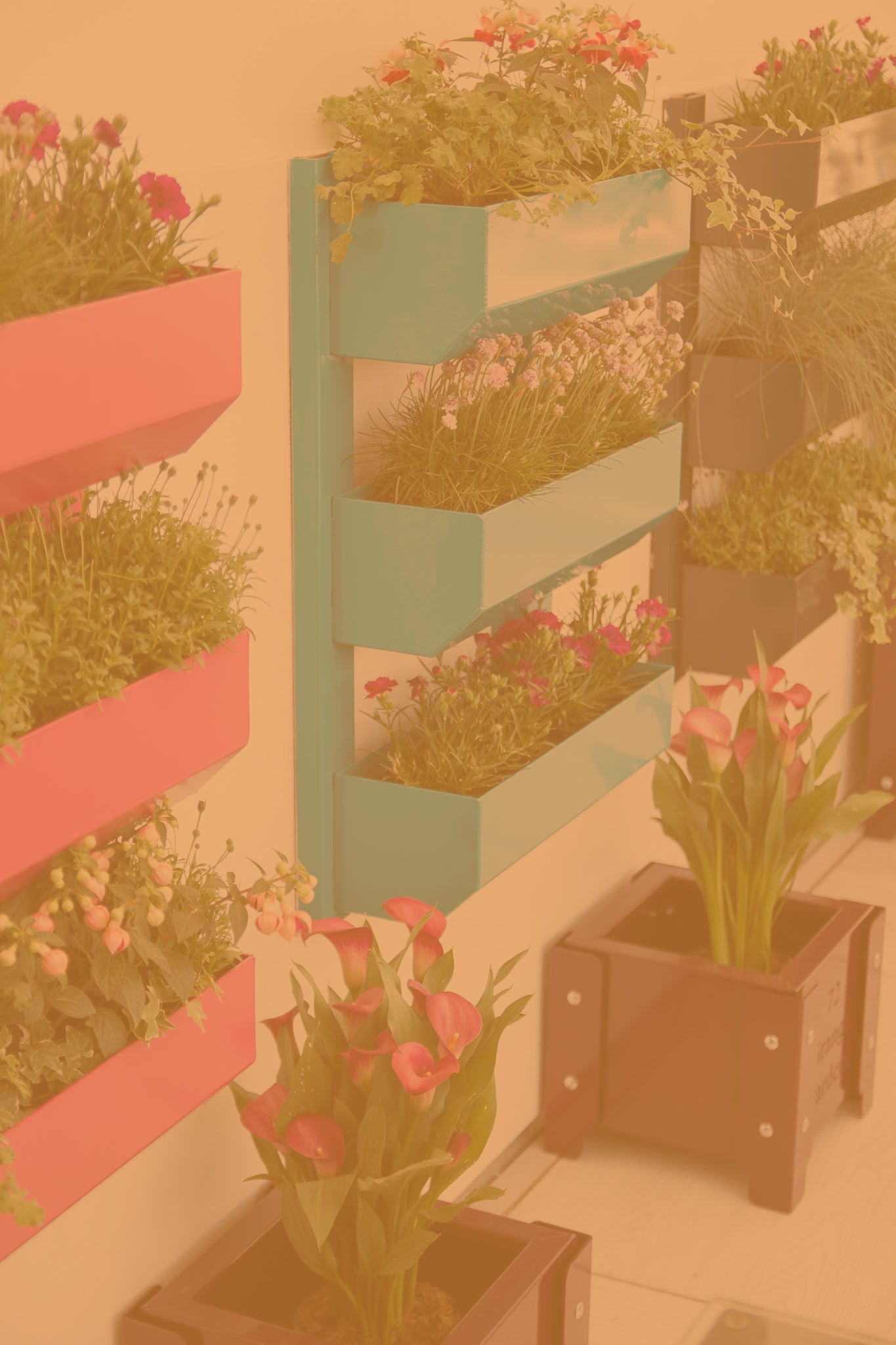 Planters