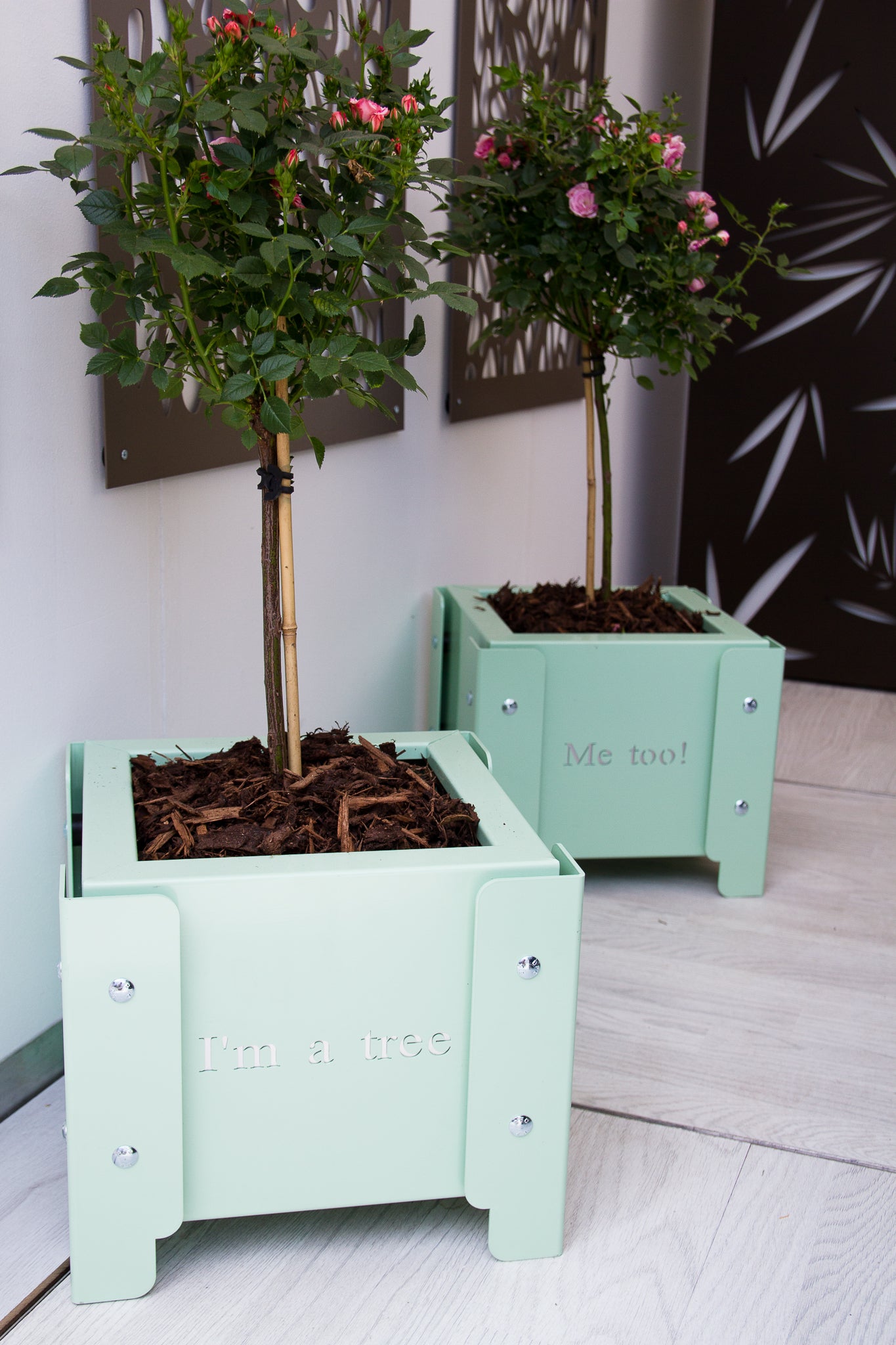 Cheeky Doorstep Pots