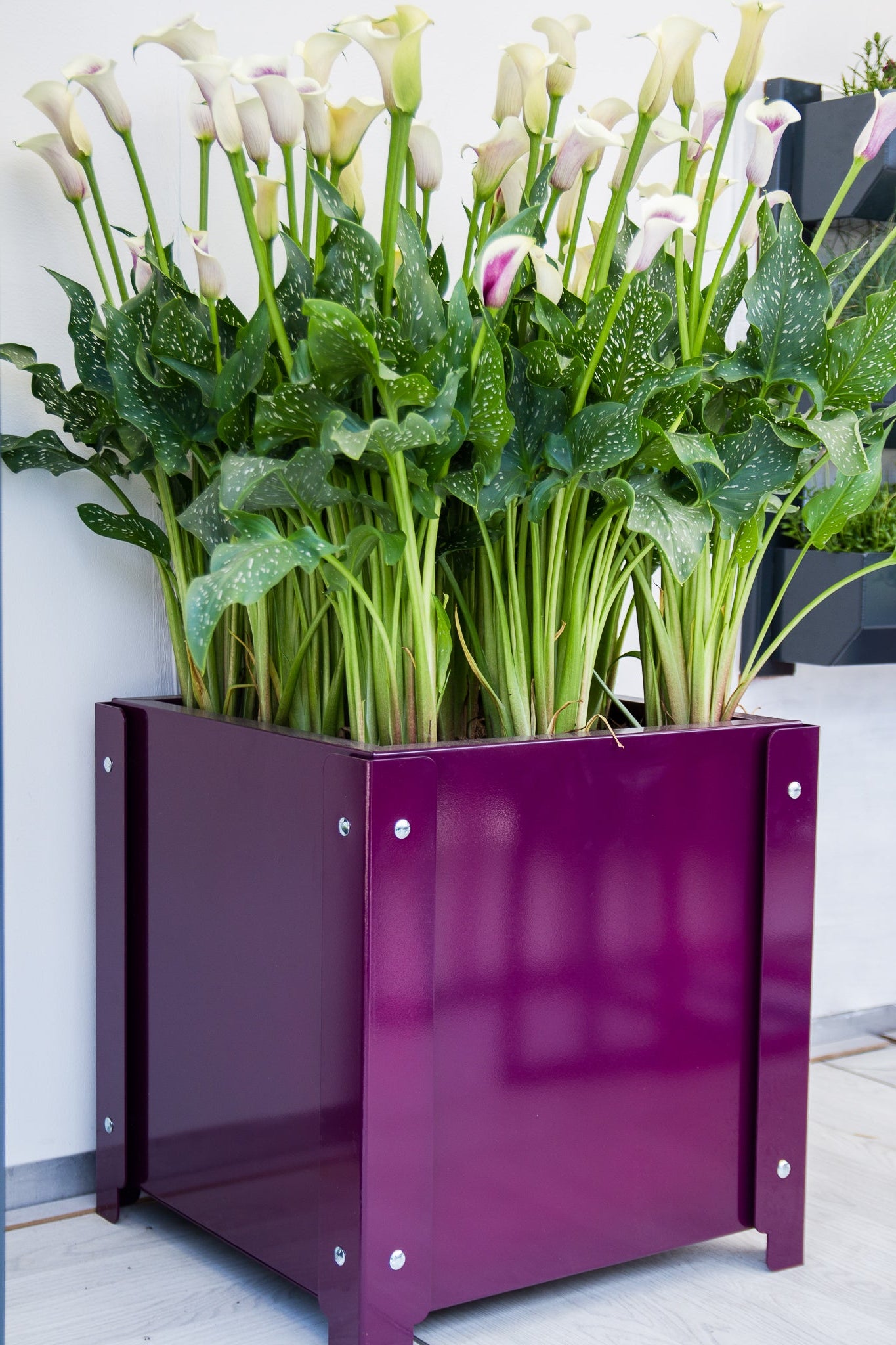 The Statement Planter