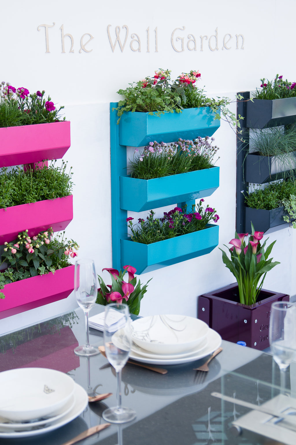 The Wall Garden
