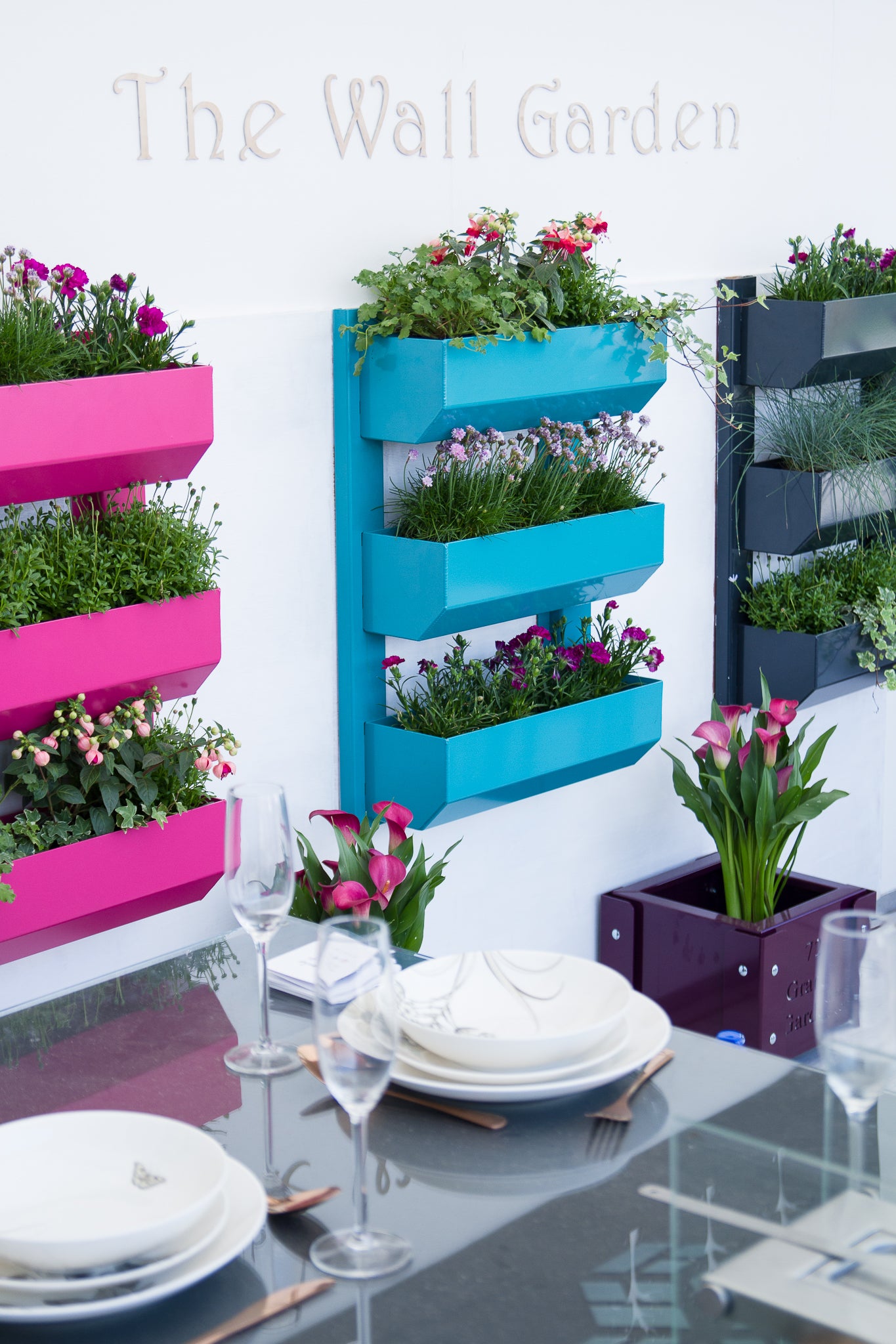 The Wall Garden