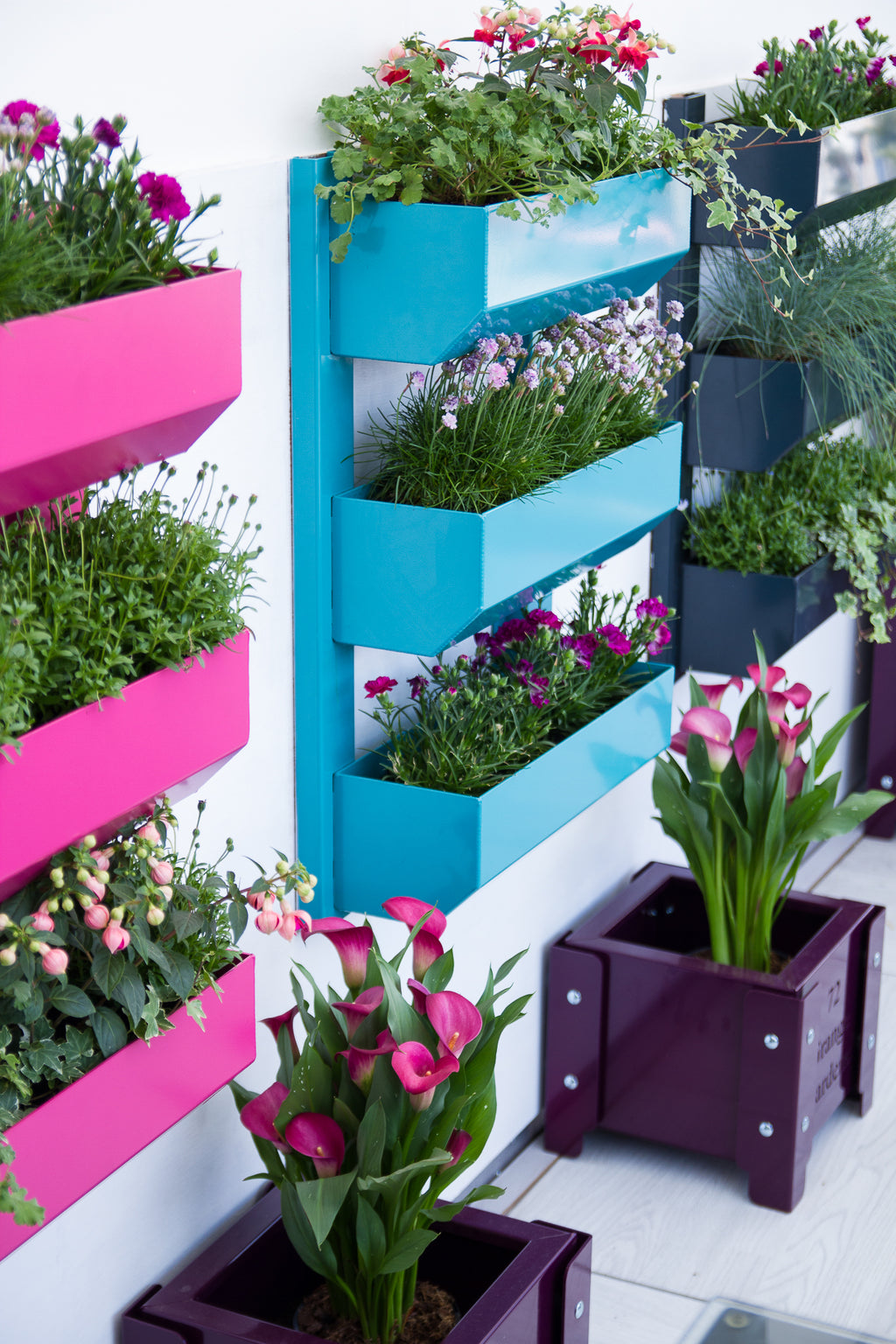 The Wall Garden