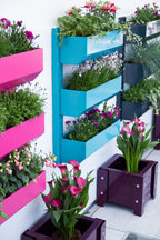The Wall Garden