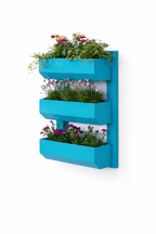 The Wall Garden