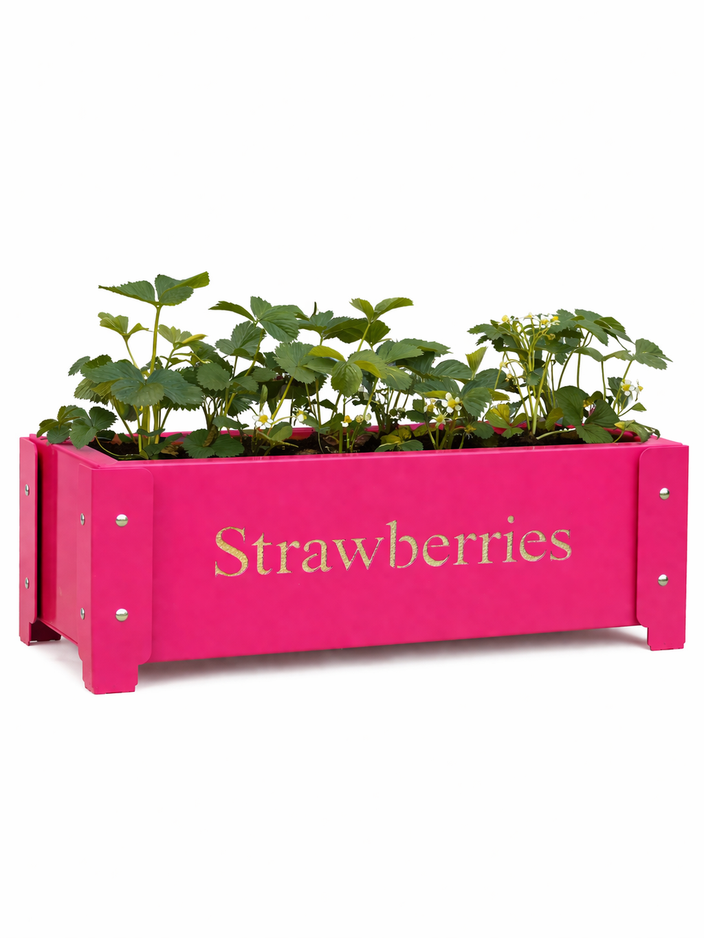 Strawberry Planter