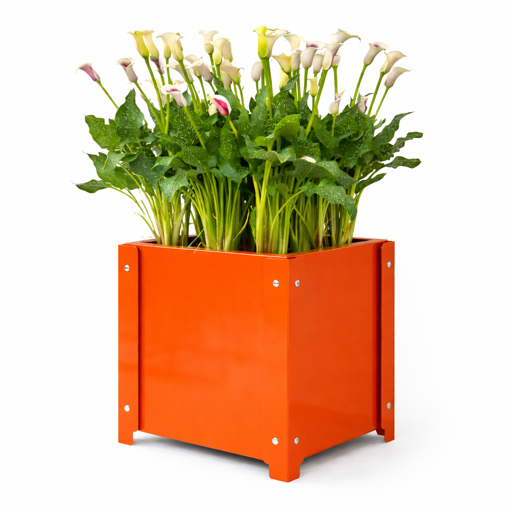 The Statement Planter