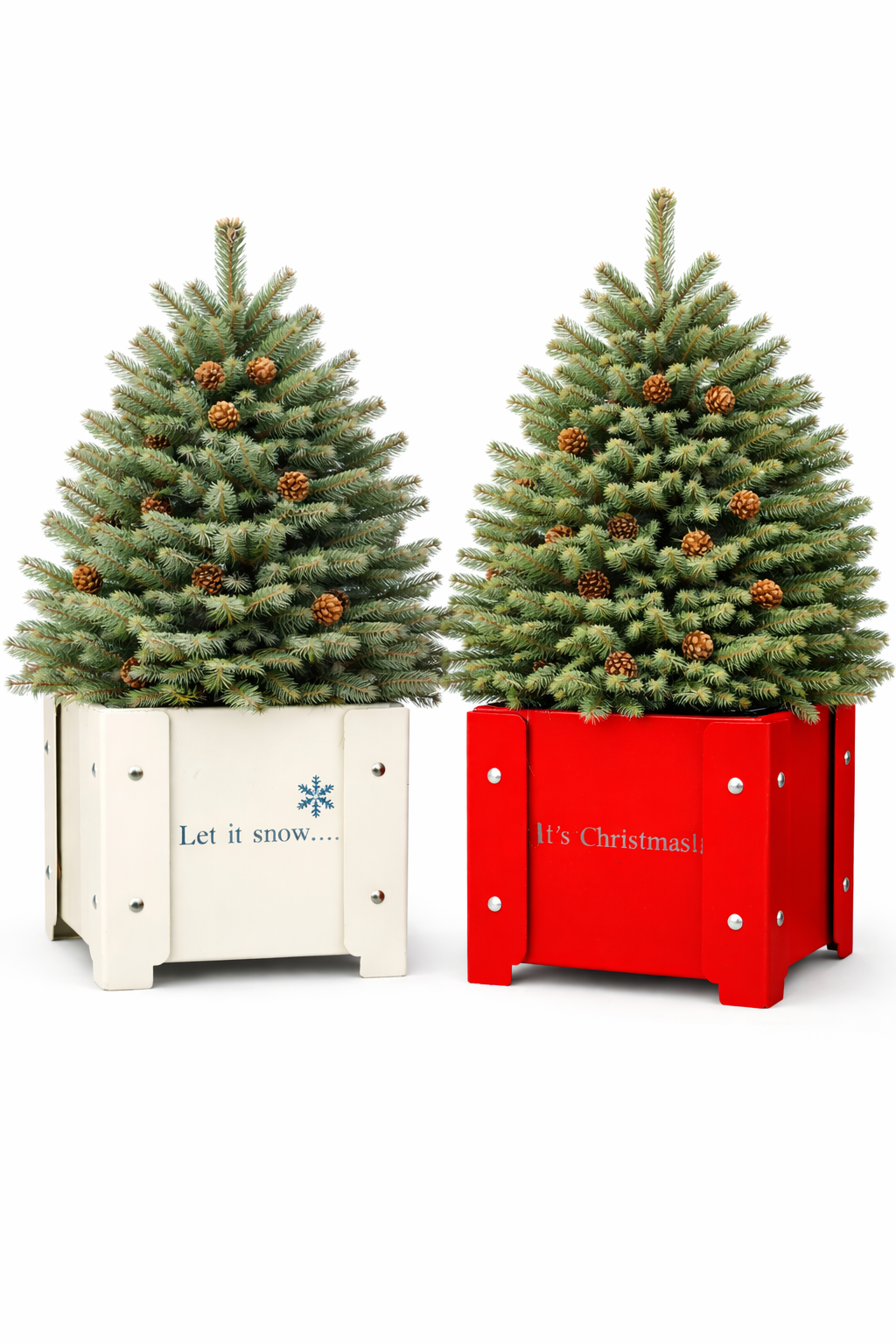 The Christmas Pots