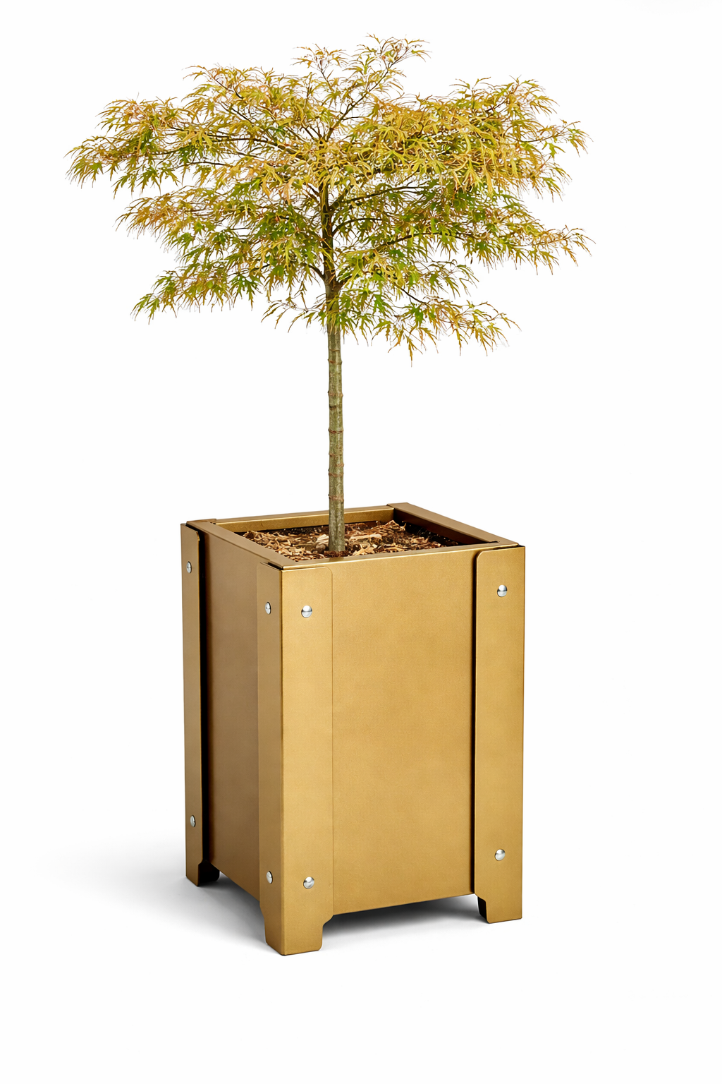 The Column Planter