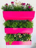 The Wall Garden