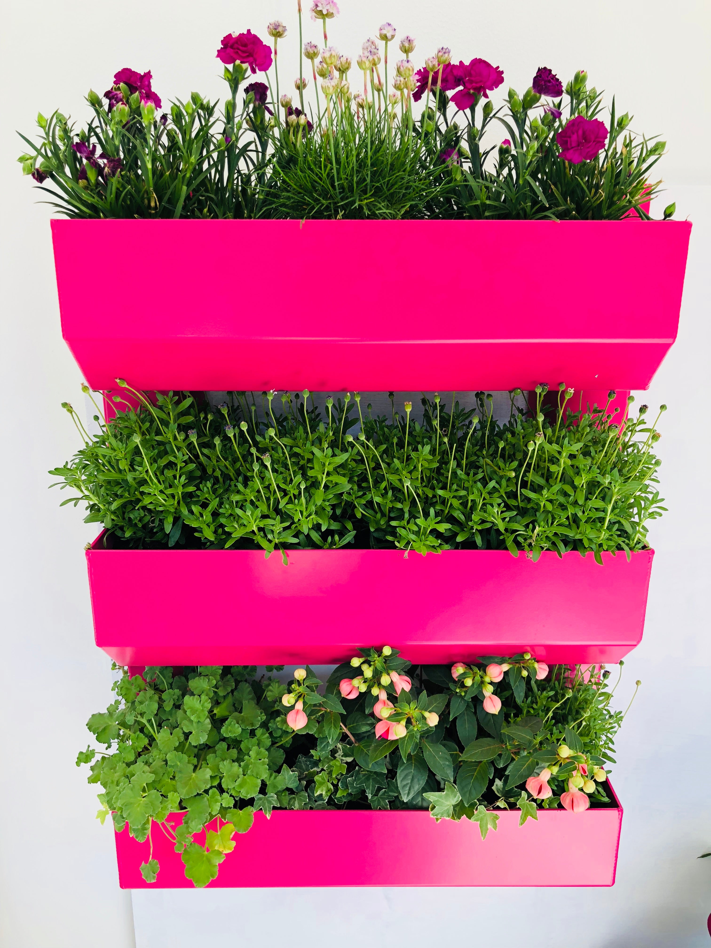 The Wall Garden
