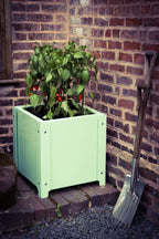 The Statement Planter