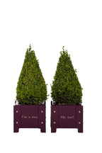 Cheeky Doorstep Pots